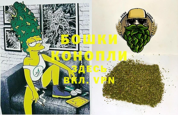 молекула духа Алексеевка
