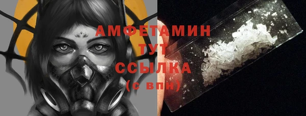 молекула духа Алексеевка