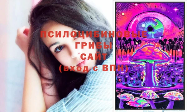 прущие крисы Алзамай