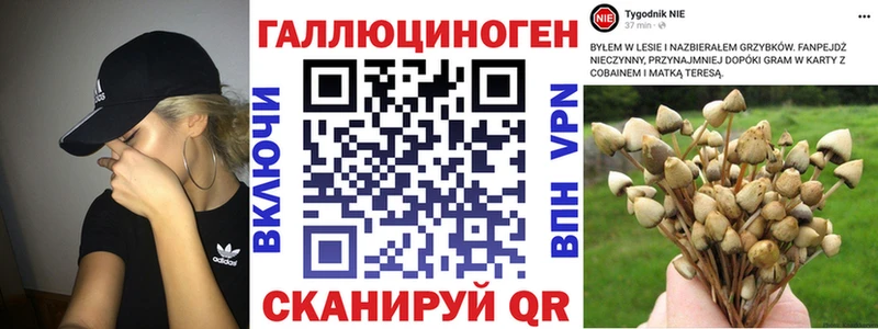 Галлюциногенные грибы мицелий  blacksprut ТОР  Качканар 