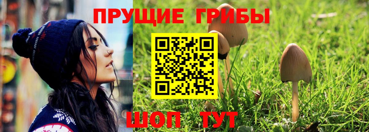 Галлюциногенные грибы ЛСД  Вход с VPN  Качканар 